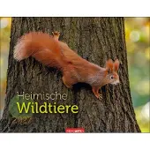 Sonstige Verlage Calendrier 2027 : la faune sauvage locale