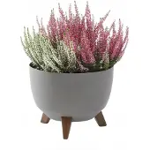 Lamela Flowerpot Roma 880-74, plastic, Ø 29 cm, cream (29 x 23 cm)