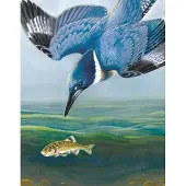 New York Puzzle Company Belted Kingfisher