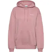 Columbia Aldermore Hoodie Rose L Femme