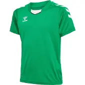 Hummel T-Shirt fonctionnel vert gazon / blanc