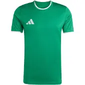 Adidas T-Shirt fonctionnel 'Entrada26' vert