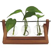 Winkee Hydro Vases Blossom - Vase (3x)