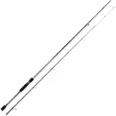 Kali Egi +250 Eging Rod Argenté 2.50 m / 2-3.5 EGI
