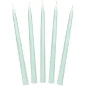 Party Deco 10 BOUGIES FLAMBEAUX CONIQUE 5H 24CM SAUGE