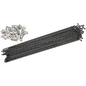Odyssey J-bend 2.0 Spokes 40 Units Doré 192 mm