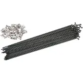 Odyssey J-bend 2.0 Spokes 40 Units Doré 234 mm
