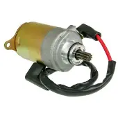 101 Octane Gy14682 Starter Doré