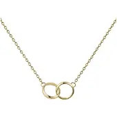 Daniel Wellington Magnifique Collier Plaqué Or Elan Unity Dw00400219