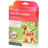 Beaphar Gentle Leader Collier de Dressage Noir Chien Moyen 1 pc(s) Collier(S)