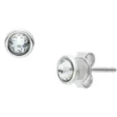 Skagen SKJ1893040 Boucles, (Acier inoxydable)