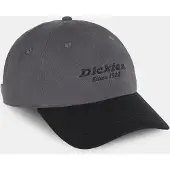 Dickies Hommes, Casquette, Twill Dad Hat, Gris