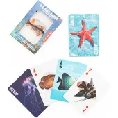 Kikkerland Jeu De Cartes Fish 3d