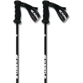 Kästle Legendary Ca Poles Argenté 115 cm
