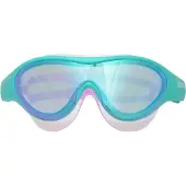 Arena The One Mirror Junior Swimming Mask Bleu Enfants