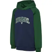 Hummel Essen Hoodie Vert,Bleu 110 cm Garçon