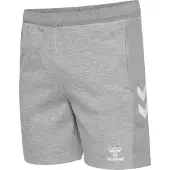 Hummel Move 2.0 Shorts Gris L Homme