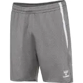 Hummel Pantalon de sport 'Lead 2.0' gris / gris clair