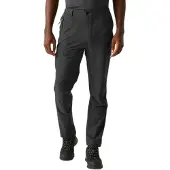 Regatta Highton Ii Pants Gris 33 / Regular Homme