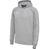 Hummel Move 2.0 Hoodie Gris 2XL Homme