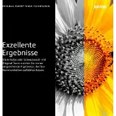 Xerox Cartouche de toner (2 packs) (106R02626)