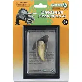 Collecta Dent de tyrannosaure en paquet 89281