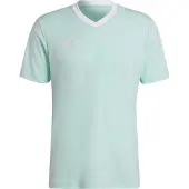Adidas Entrada 22 Short Sleeve T-shirt Bleu S / Regular Homme