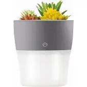 Setty Mini-humidificateur pour bureau, diffuseur, pot de fleurs, fleurs artificielles