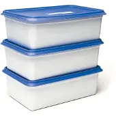 Day To Day Gefrierbox-Set 3x2000ml Alaska, Boîte de conservation, Bleu