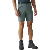 Regatta Short de randonnée Xert III
