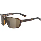 Alpina sport ALPINA SWIFT brun-gris mat brun-gris mat -