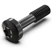Schroff SCREW TORX COL.M2.5X12.3 100X - Rack-Zubehör (21101783)