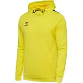 Hummel Sweat de sport 'Authentic PL' jaune / noir