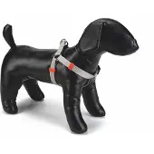 Beeztees BZ NY GESCH UNI GRIS CLAIR 26-40 (Chien, Général)