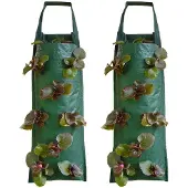 INF 8 sacs de culture de fraises suspendus
