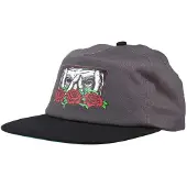 Santa Cruz Dressen Eyes Roses Cap Gris