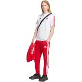 Adidas Fc Bayern Munich Dna Short Sleeve T-shirt Blanc M Homme