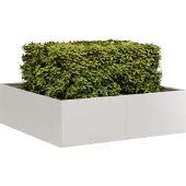 Prolenta Maison Exclusive - Jardinière 100x100x30 cm, en acier inoxydable