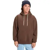 Quiksilver Salt Water Hoodie Marron S Homme
