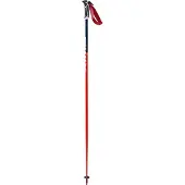 Swix Bâtons Wc Pro Slalom