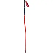 Swix Bâtons World Cup Pro Super-g