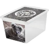 BranQ Boîte de rangement Panier Boîte en plastique avec couvercle