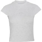 Adidas T-shirt fonctionnel 'KIT SMALL LOGO RIB' gris clair