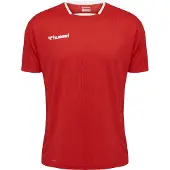 Hummel T-Shirt fonctionnel 'Authentic' gris basalte / rouge vif / noir / blanc