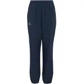 Adidas Terrex Multi Pants Bleu 14-15 Years Enfants