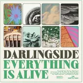 Ginza.se Darlingside - Everything Is Alive [Vinyl Lp]