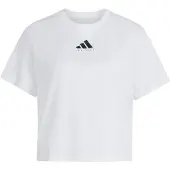 Adidas T-shirt fonctionnel 'CLIMACOOL Category Training Graphic' gris argenté / noir / blanc