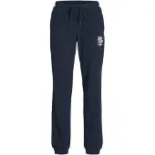 Jack & Jones Elogo Junior Sweat Pants Bleu 14 Years Garçon
