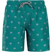 Protest Calvin Swimming Shorts Bleu 176 cm Garçon