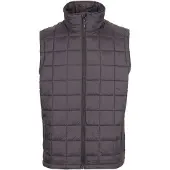 Dlx Enoless Vest Gris S Homme